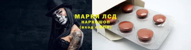 тгк Россошь