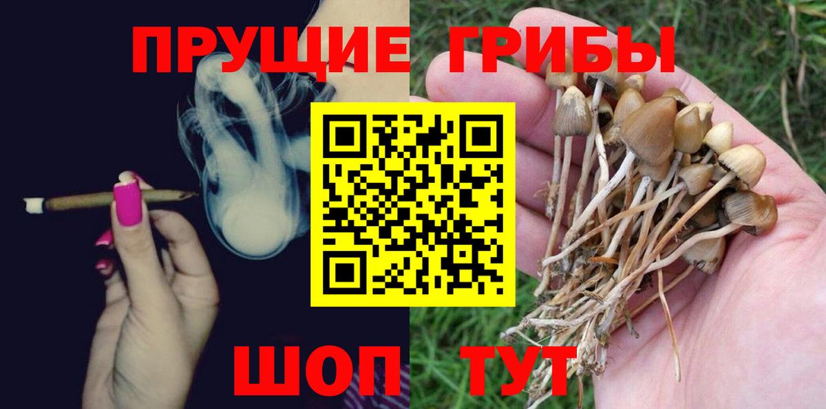 Мурино  Псилоцибиновые грибы Psilocybine cubensis  Вход с VPN  Галлюциногенные грибы GOLDEN TEACHER 